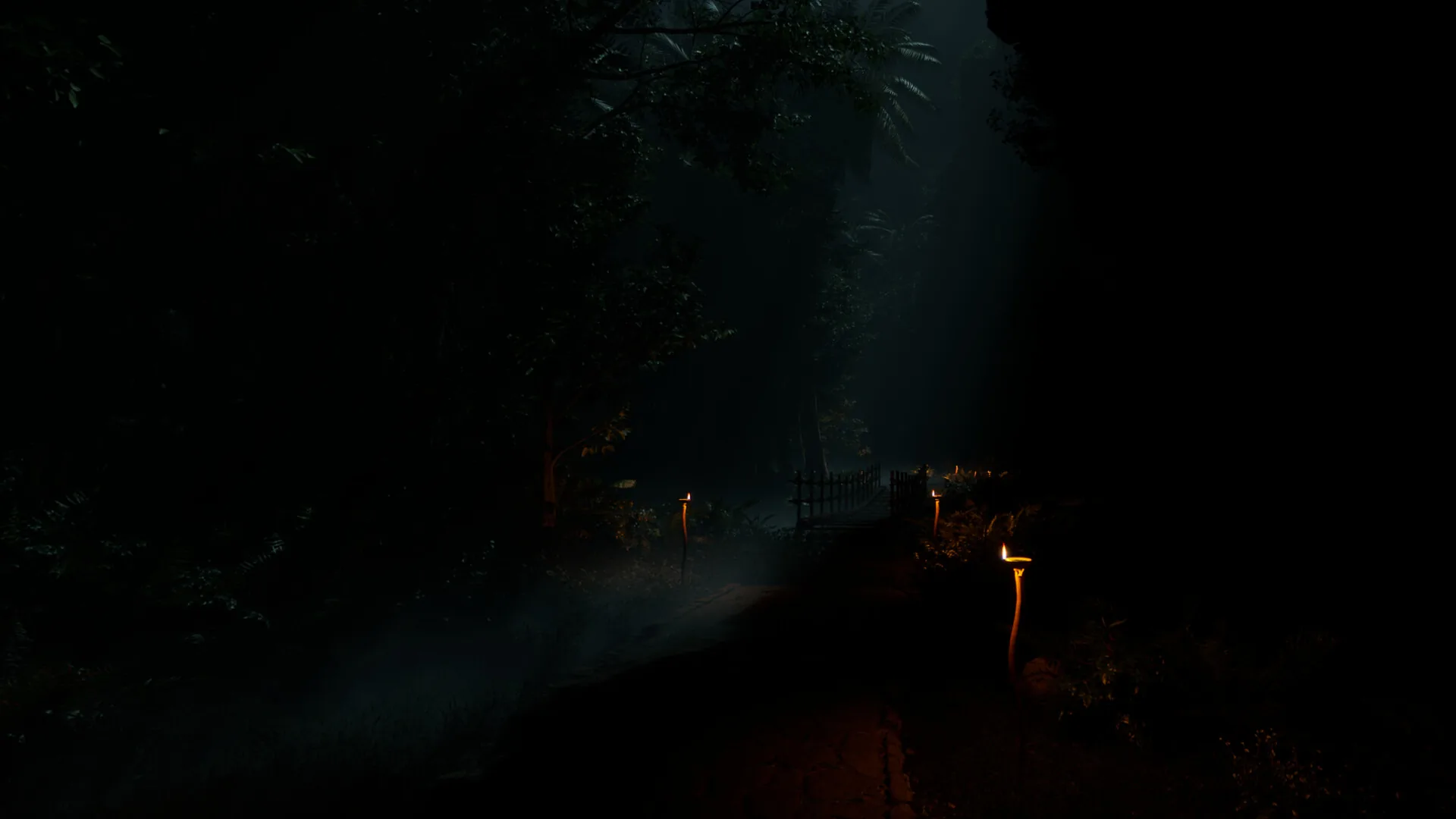 Torch-lit path through a forest