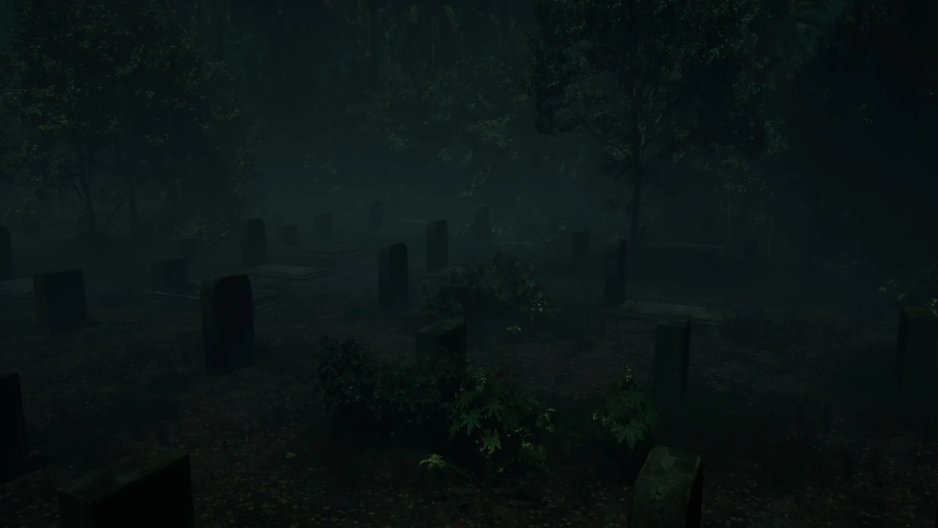 Fog-covered cemetery