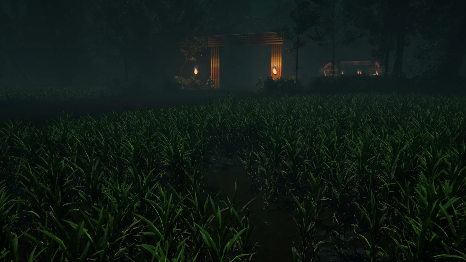 Field leading toward a torch-lit structure